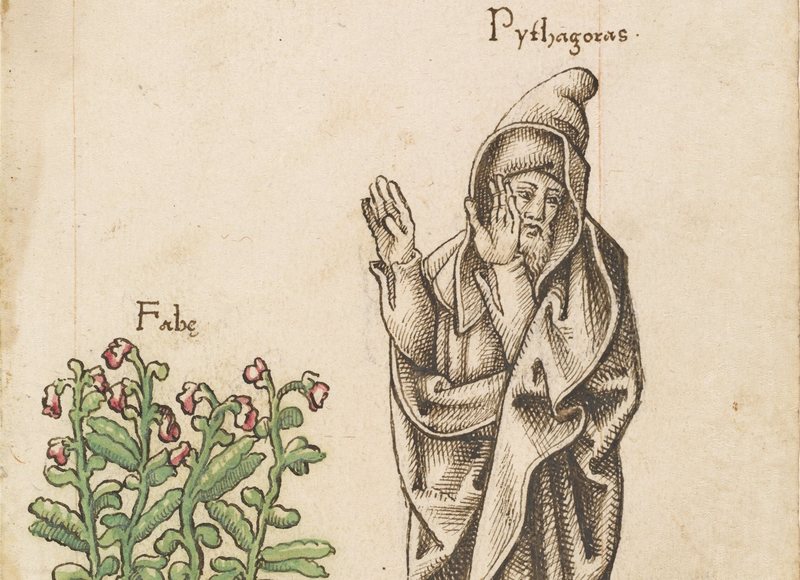 Pythagoras says no to Fava beans