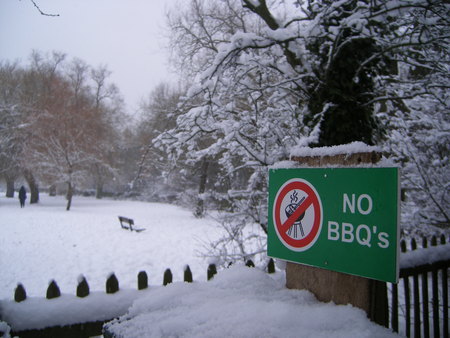 Snow in London