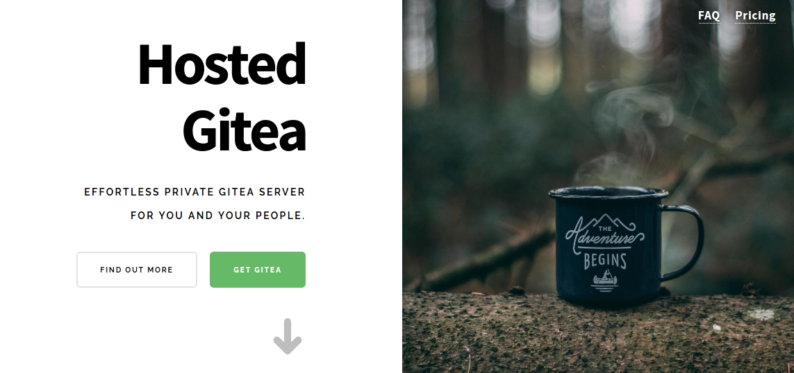 Hosted Gitea screenshot