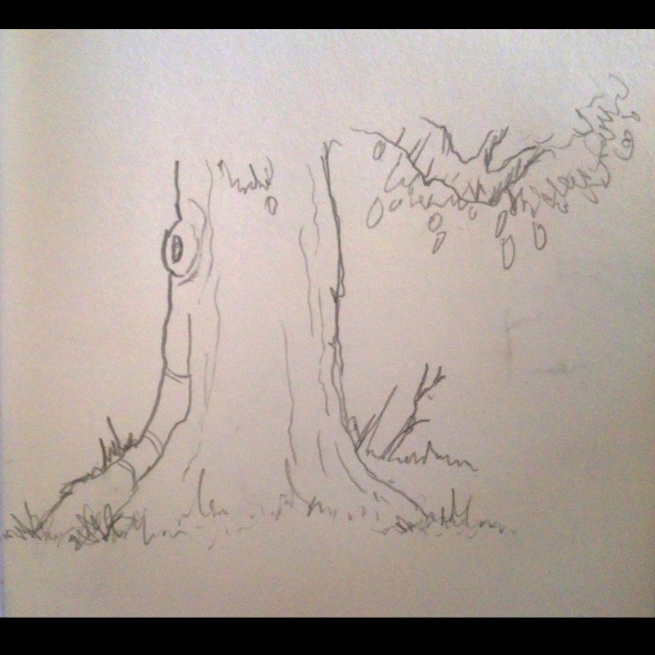 trees-2.jpg
