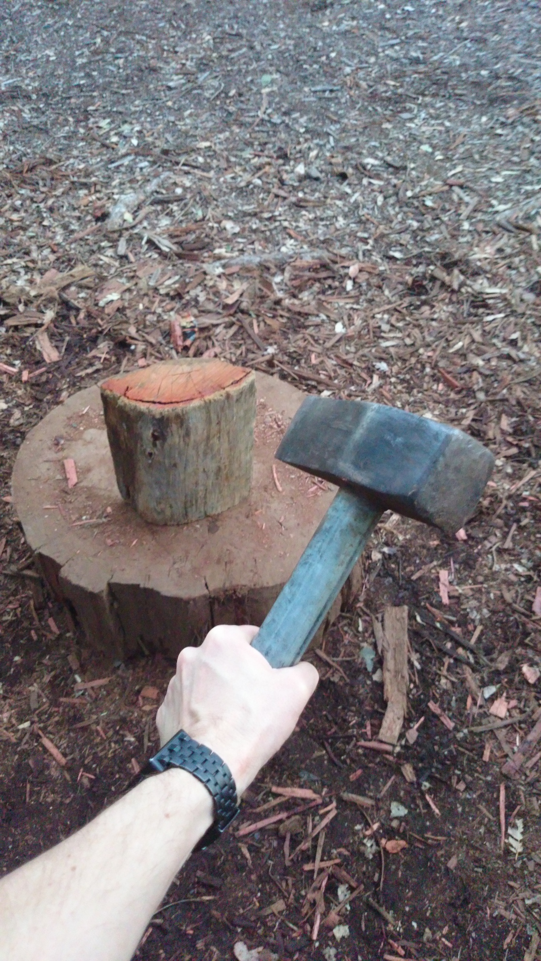 Hand holding an axe